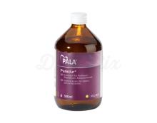 Palladur: Self Curing Resin Powder (1 Kg)