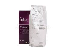Palladur: Self Curing Resin Powder (1 Kg)
