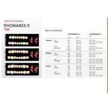 Phonares II: Lower Posterior Teeth (8 units)