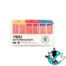 Punte di guttaperca Protaper System (60 u.)