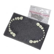 Replacement Teeth for Children