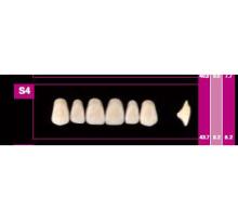 COSMO HXL dents supérieuress précédente S2