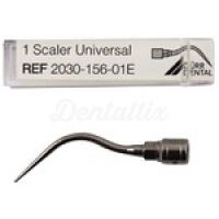 Vector Scaler: Periodontal Ultrasonic Tip