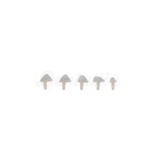 SeptoMatrix Cervical: Sistema de Matrices Transparentes (50 uds)