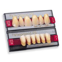 Dentes SR VIVODENT S PE maior anterior A17