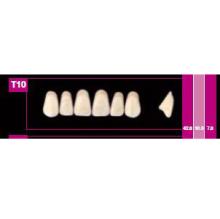 COSMO dents HXL précédente S8 supérieures
