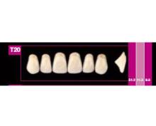 COSMO HXL dents supérieures précédente T18