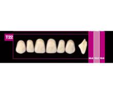 COSMO HXL précédent T2 dents supérieuress