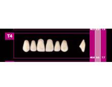 COSMO HXL dents supérieures précédente T22