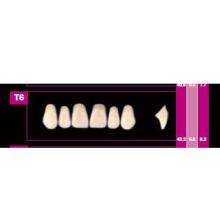 COSMO HXL dents supérieures précédente T4