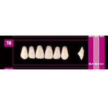COSMO HXL dents supérieures précédente T6