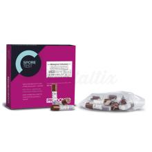Kit de Teste de Esporos para Autoclave (20 un.)