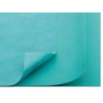 Foliodtrape Protect panno di copertura (90x150cm) (20u) - monouso