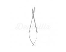 Castroviejo Noyes scissors (12 cm)
