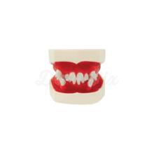 Tydont for Orthodontic Practices
