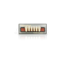 Upper Anterior Sr Vivodent Teeth A68