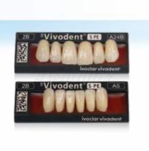 Upper anterior VIVODENT teeth A25