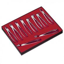 Forceps X100 kit (10 pcs)